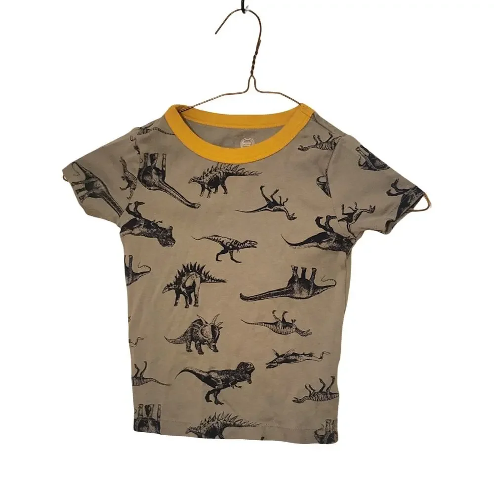 Boy's Dinosaur 4T Short Sleeve T-Shirt And Pants Sleep Set